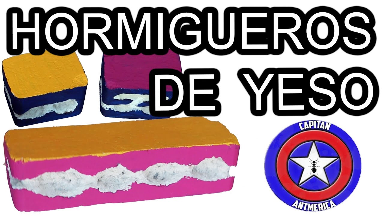 Como Hacer un HORMIGUERO DE YESO - Hormiguero Casero para Capitan Antmerica