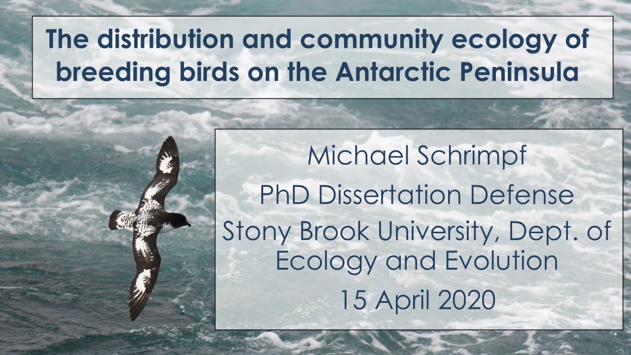 Michael Schrimpf PhD defense 15 Apr 2020