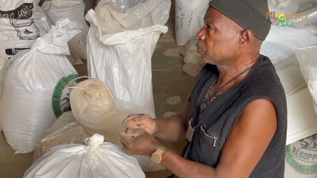 Technique de stockage du niébé
