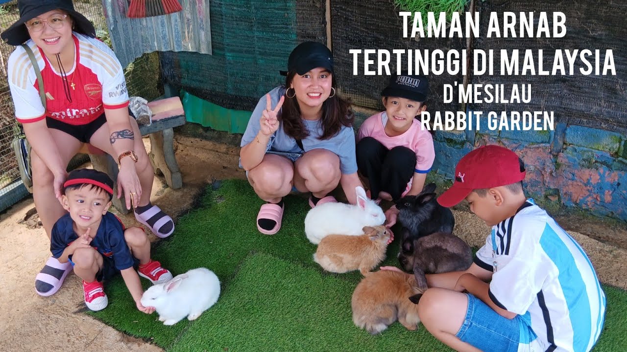 Jum tengok arnab di D'Mesilau Rabbit Garden, Kundasang