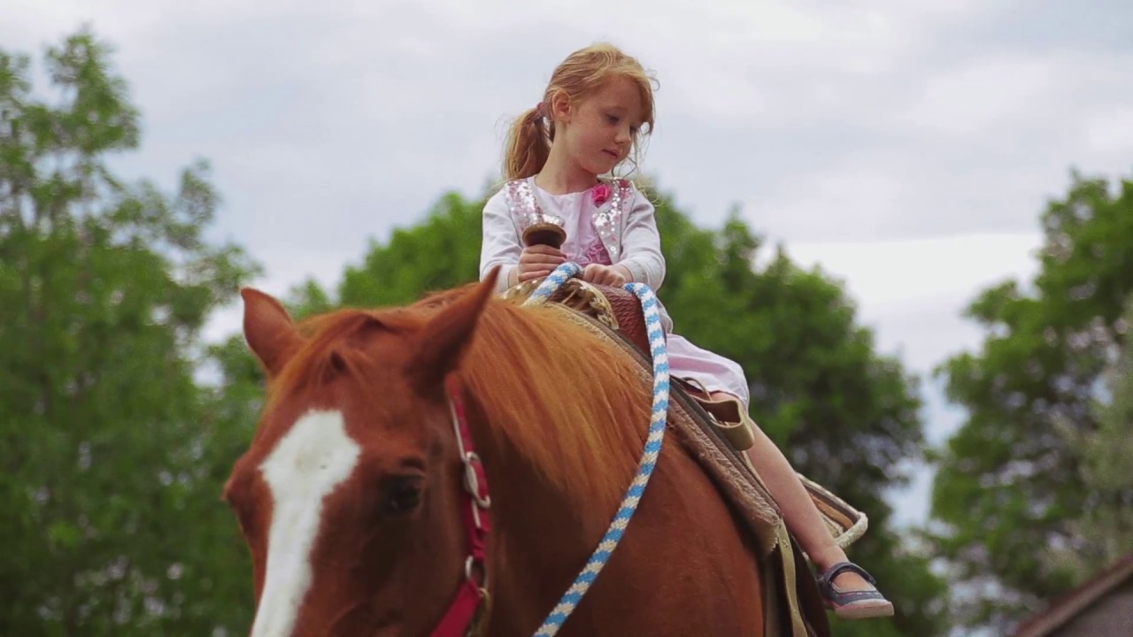 5 year old girl rides a horse like a pro