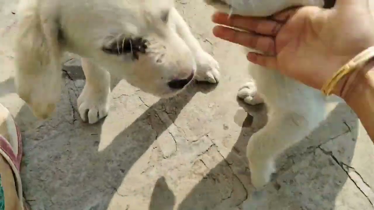 Radhe🙏#Kisi ka intezar kar rahi hai 🤔🤔