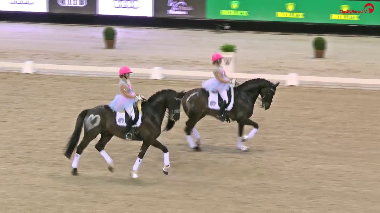 Edison { Johnson x Balzflug }   Indoor Brabant 2018 Pas de Deux Met Lotte  Meulendijks