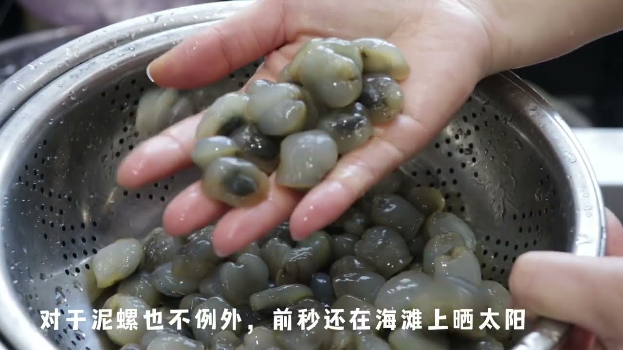 泥螺悲惨的一生！最终难逃被葱爆
