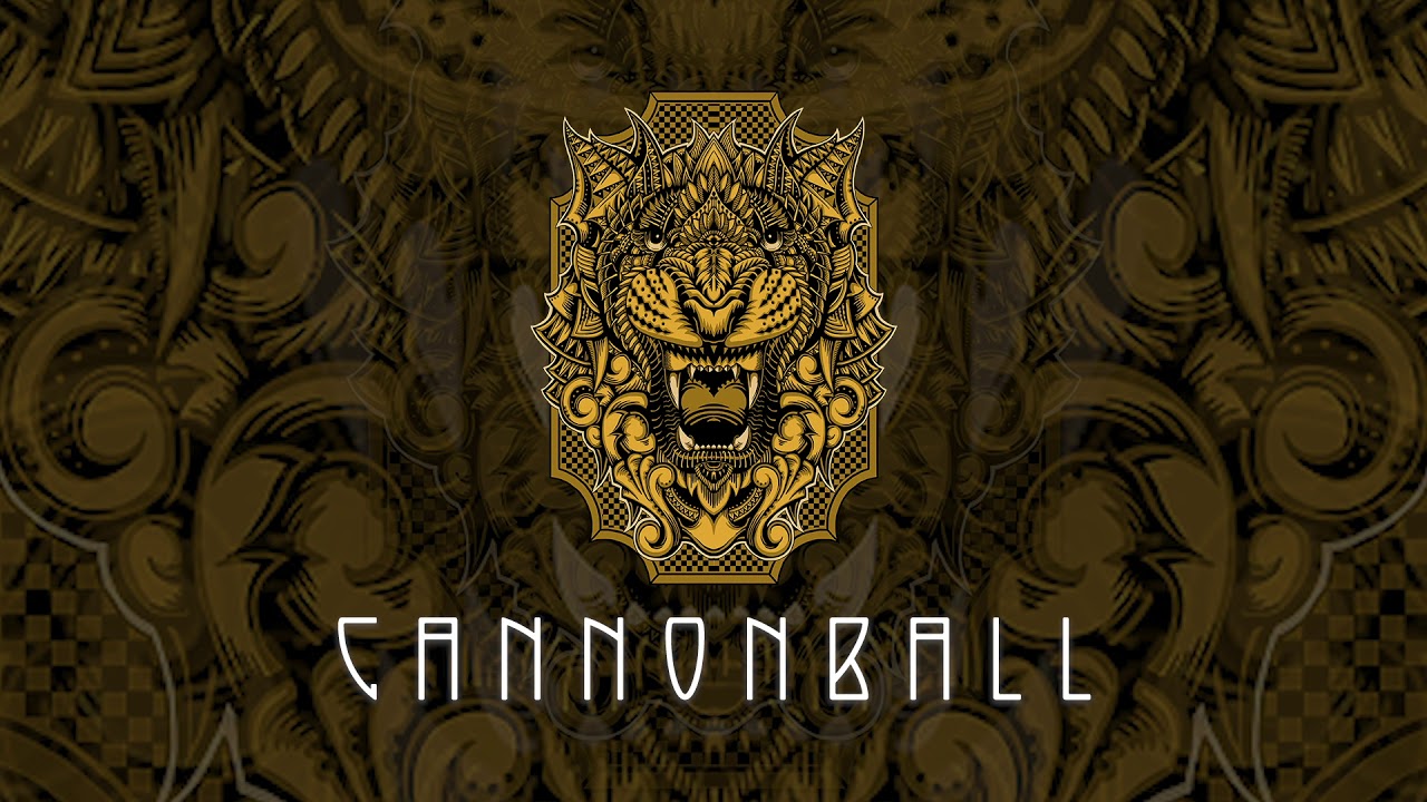 Dirtwire - Cannonball