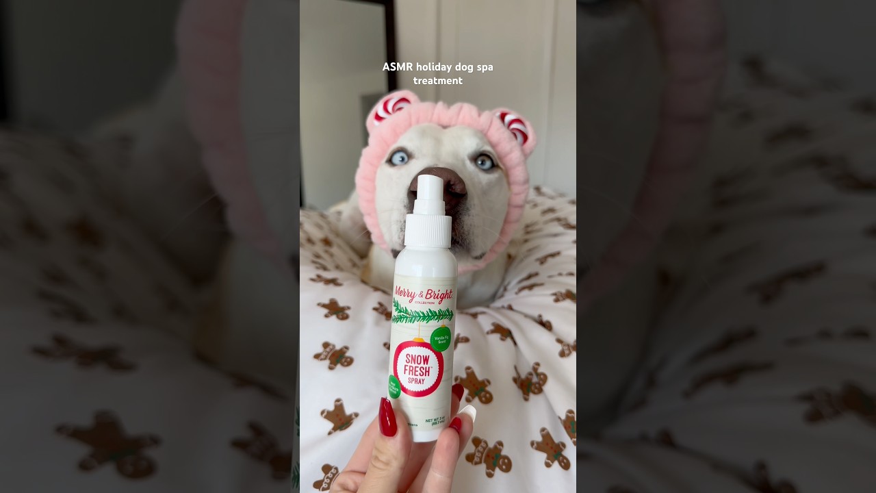 My dogs 10 step Christmas skincare routine ✨🎄 #christmas #dog #pets #puppy #skincare #dogshorts