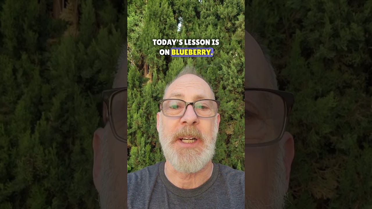 Blueberry #cultivar #weedologywil #420 #cannabiseducation #cannabisismedicine