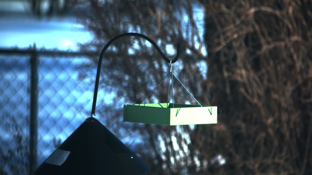 Empty Bird Feeder in HDR
