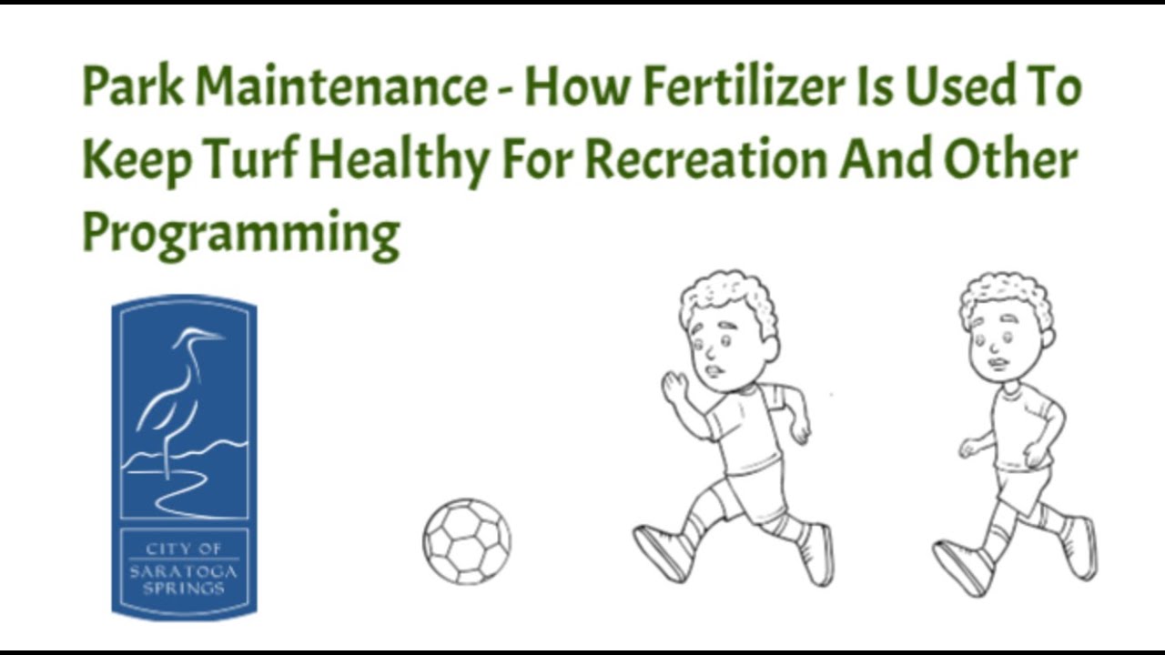 Park Maintenance: How Fertilizer Builds Strong Turf