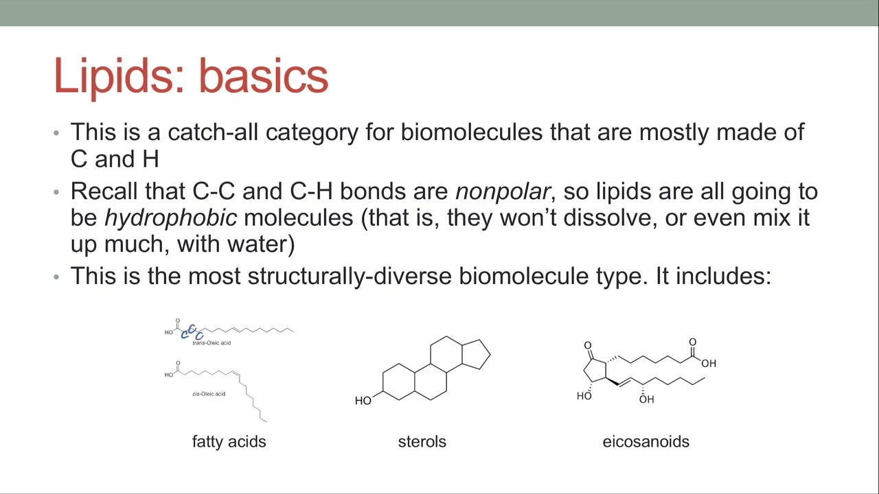 Essential Biochemistry – Biomolecule Basics (part 1)