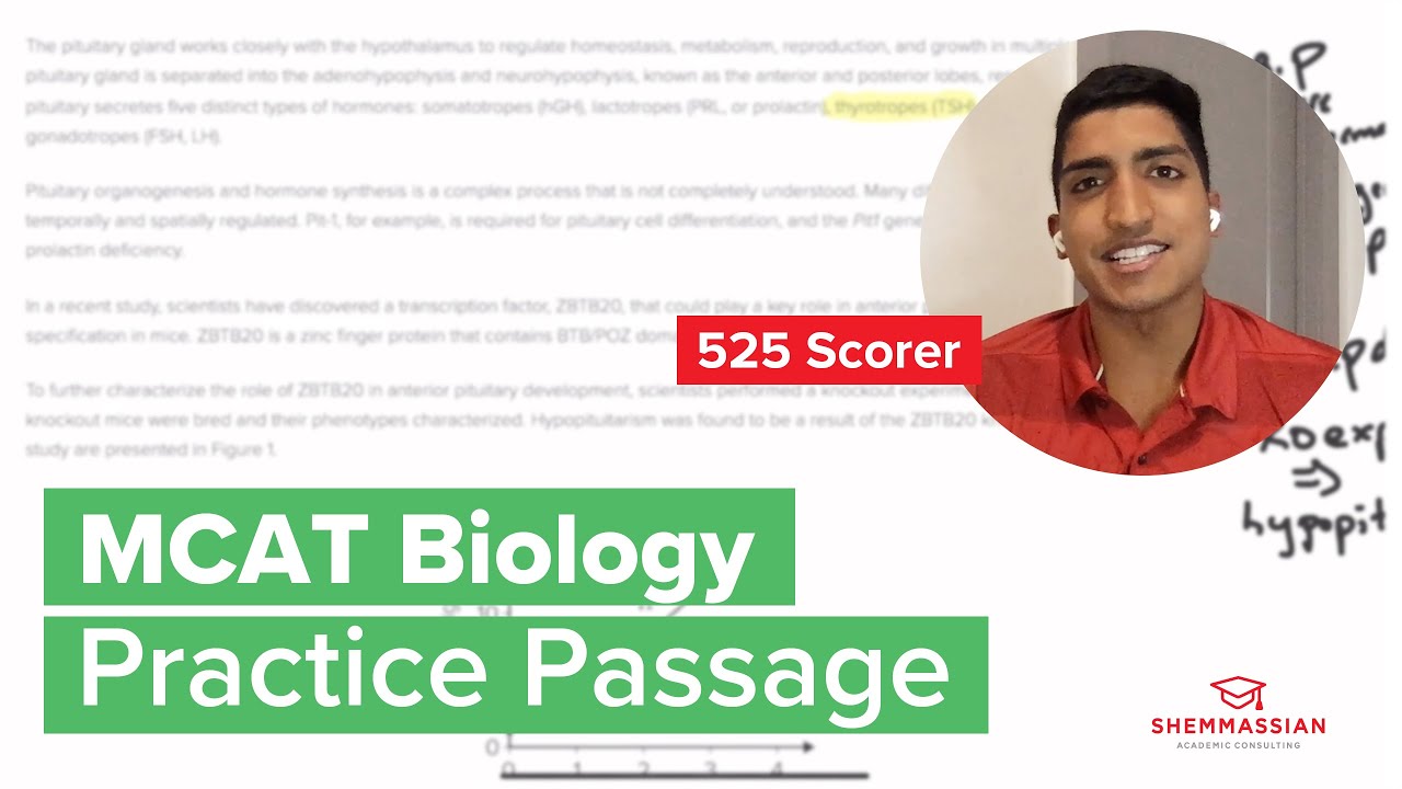 Прохождение MCAT Bio Passing | Эндокринная система | 525 баллов