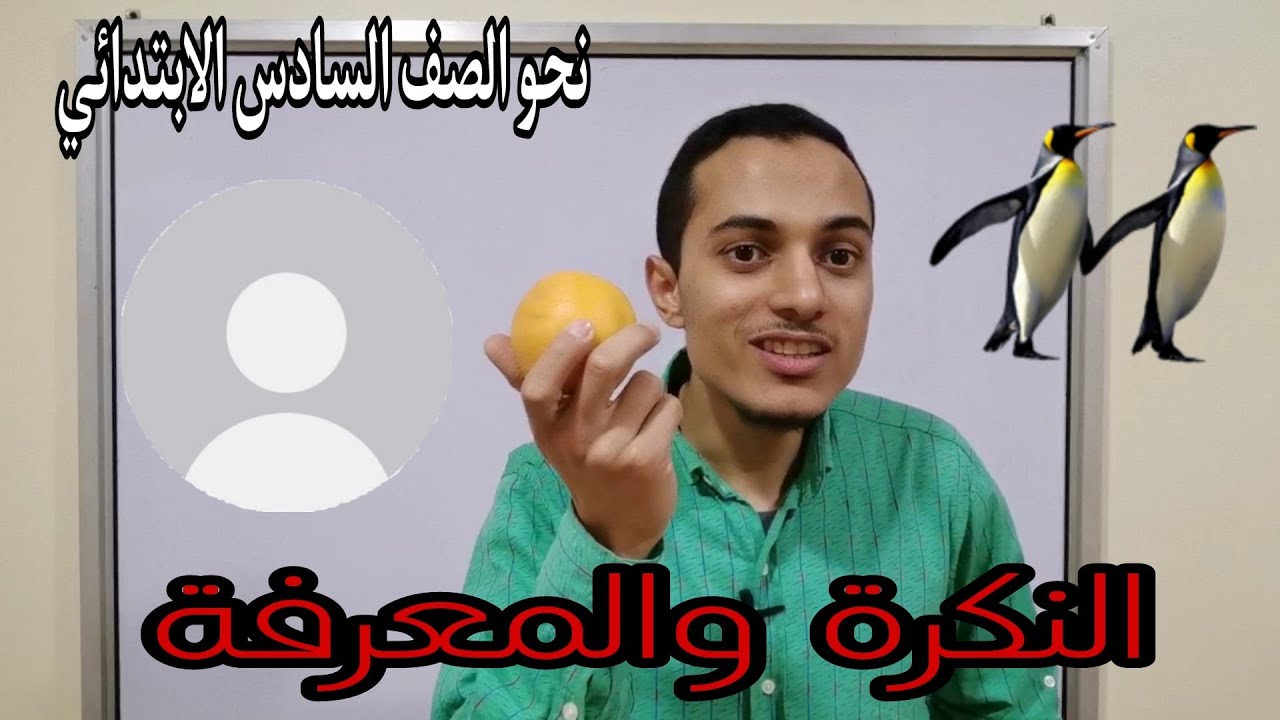 النكرة والمعرفة _ نحو الصف السادس الابتدائي _ أحمد محمد عبد الجواد