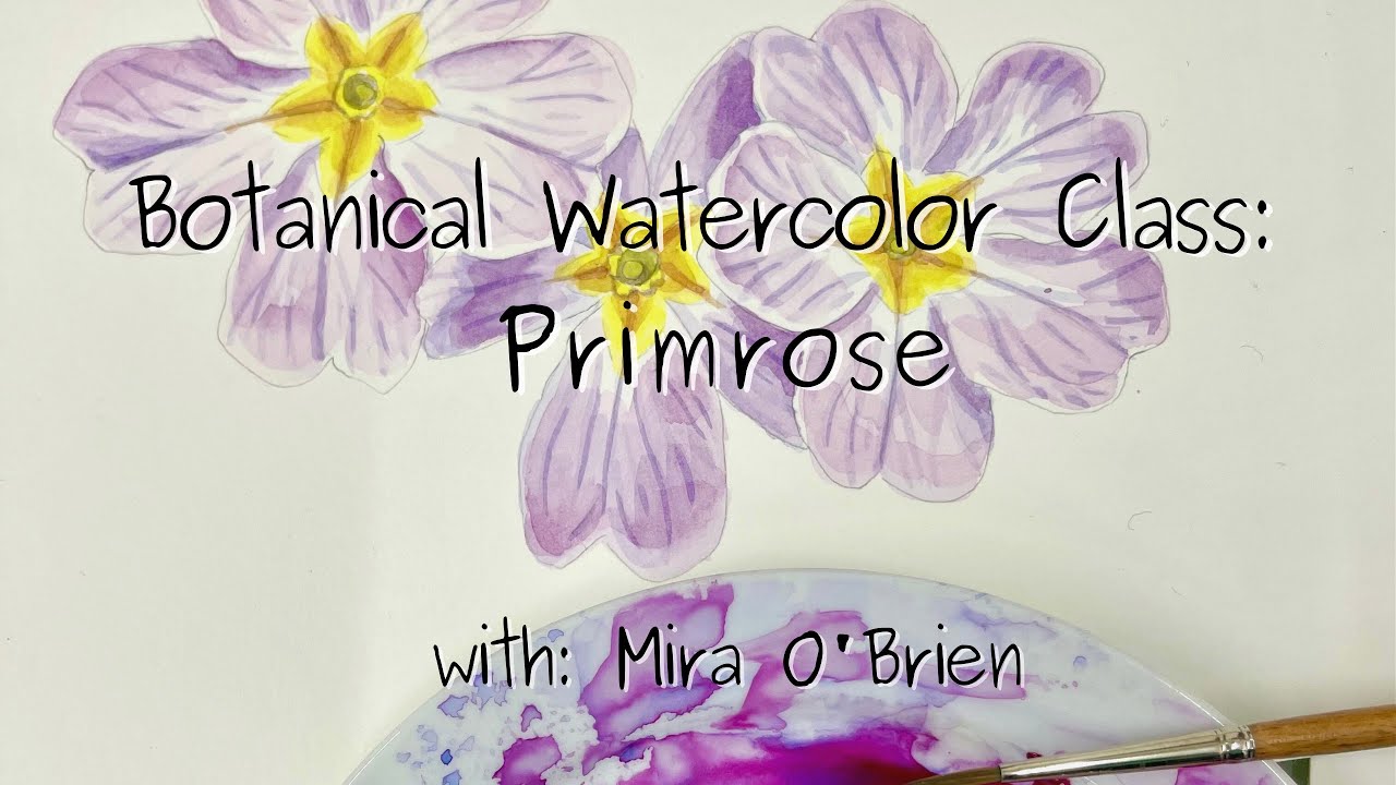 Botanical Watercolor Class: Primrose II Berlin Drawing Room