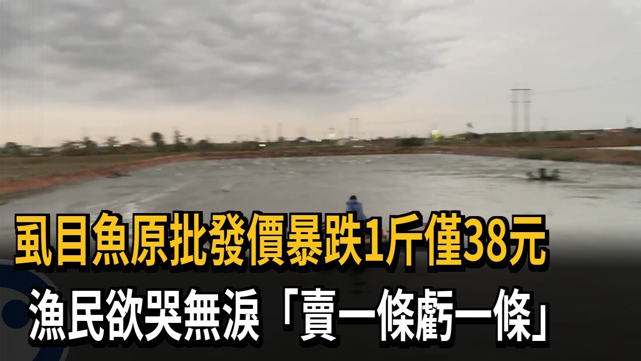 虱目魚整尾批發價1斤僅38元 漁民：賣一條虧一條－民視新聞