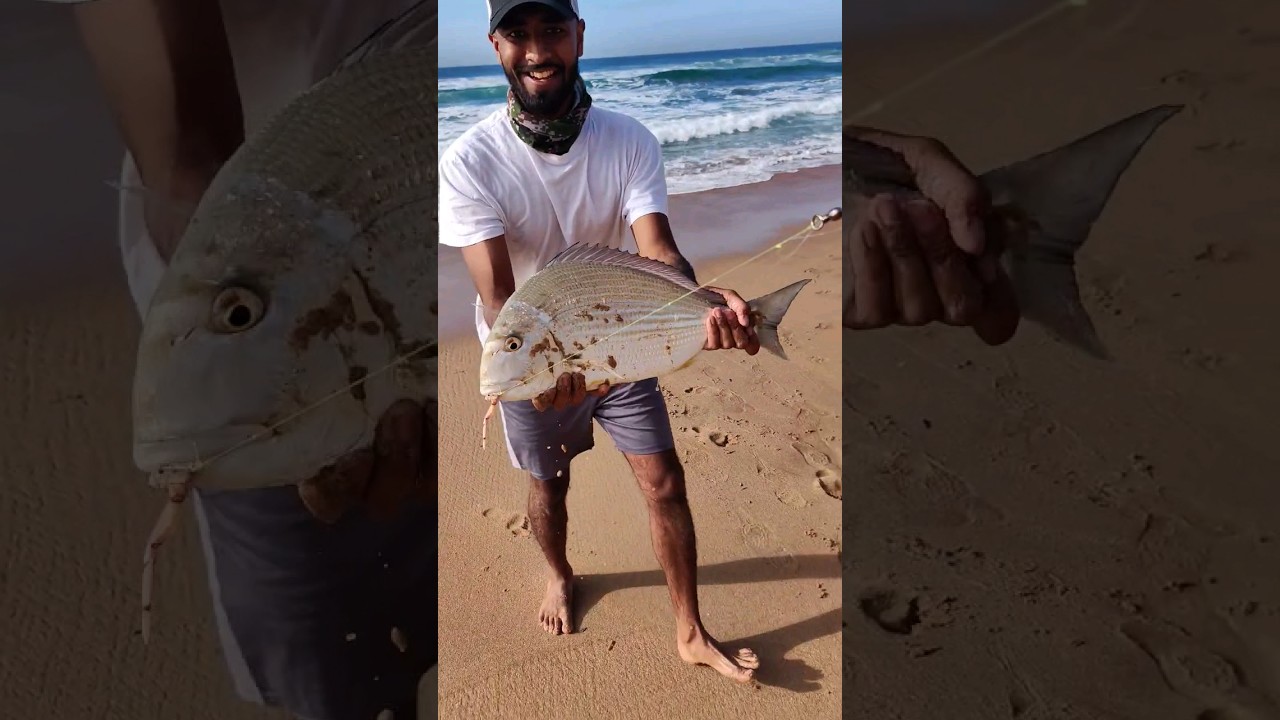 Throwback To Last Year This Time - Natal Stumpnose Caught in Durban #fishing #durban #southafrica