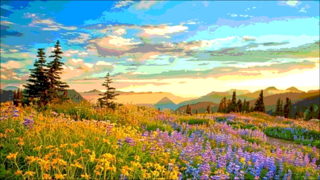 Sunset at the spring field (Original piano solo music)