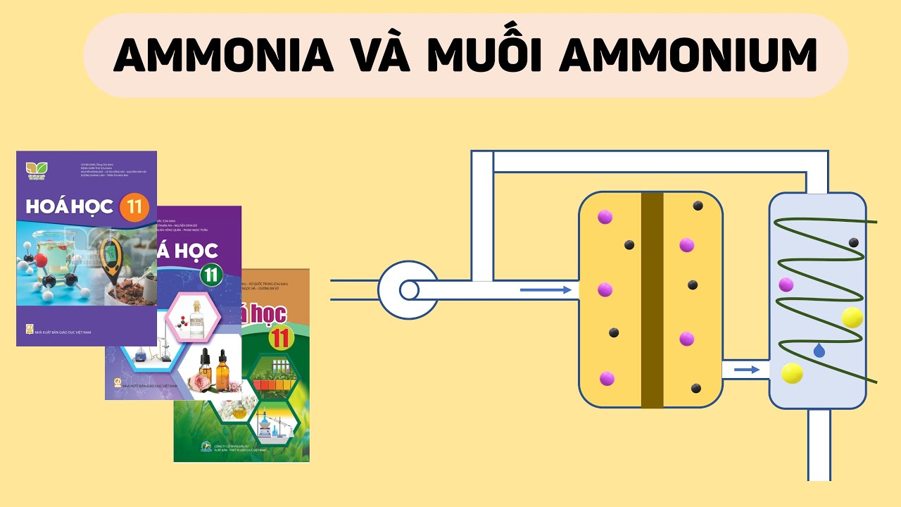 [Hóa 11] AMMONIA VÀ MUỐI AMMONIUM (Sách Cánh Diều, Chân Trời Sáng Tạo, Kết Nối Tri Thức)