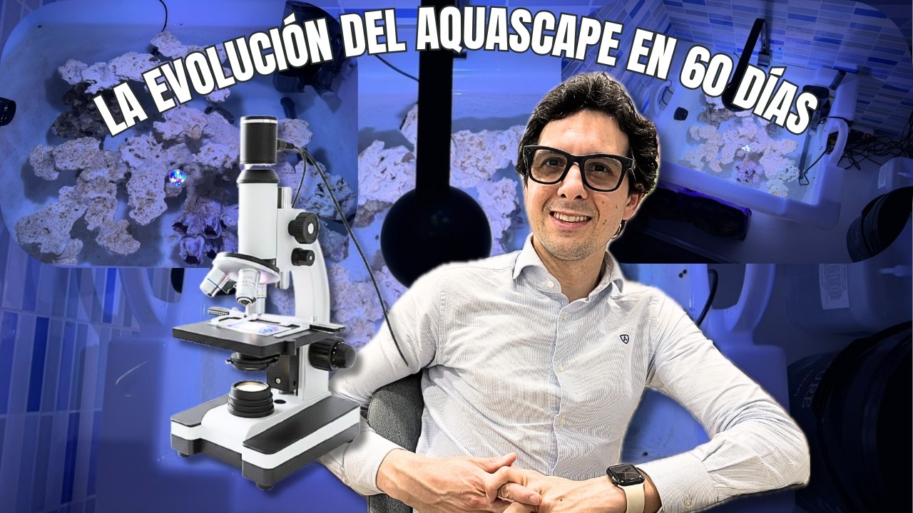 EVOLUCIÓN del AQUASCAPE CICLANDO: ¿Qué ha pasado 60 DÍAS después?