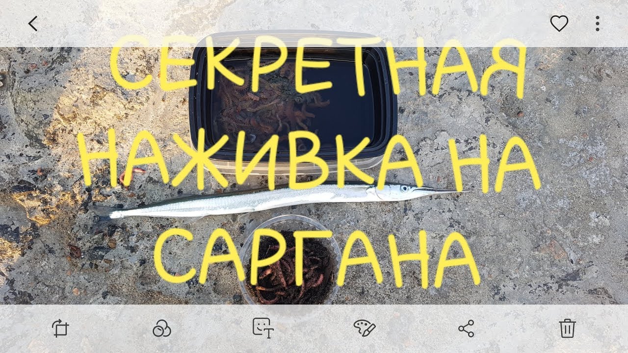 Секретная наживка на САРГАНА.