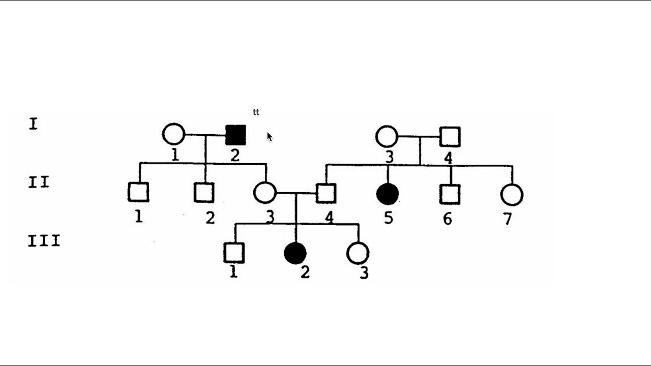 Biologi - kort om nedarvningsskemaer
