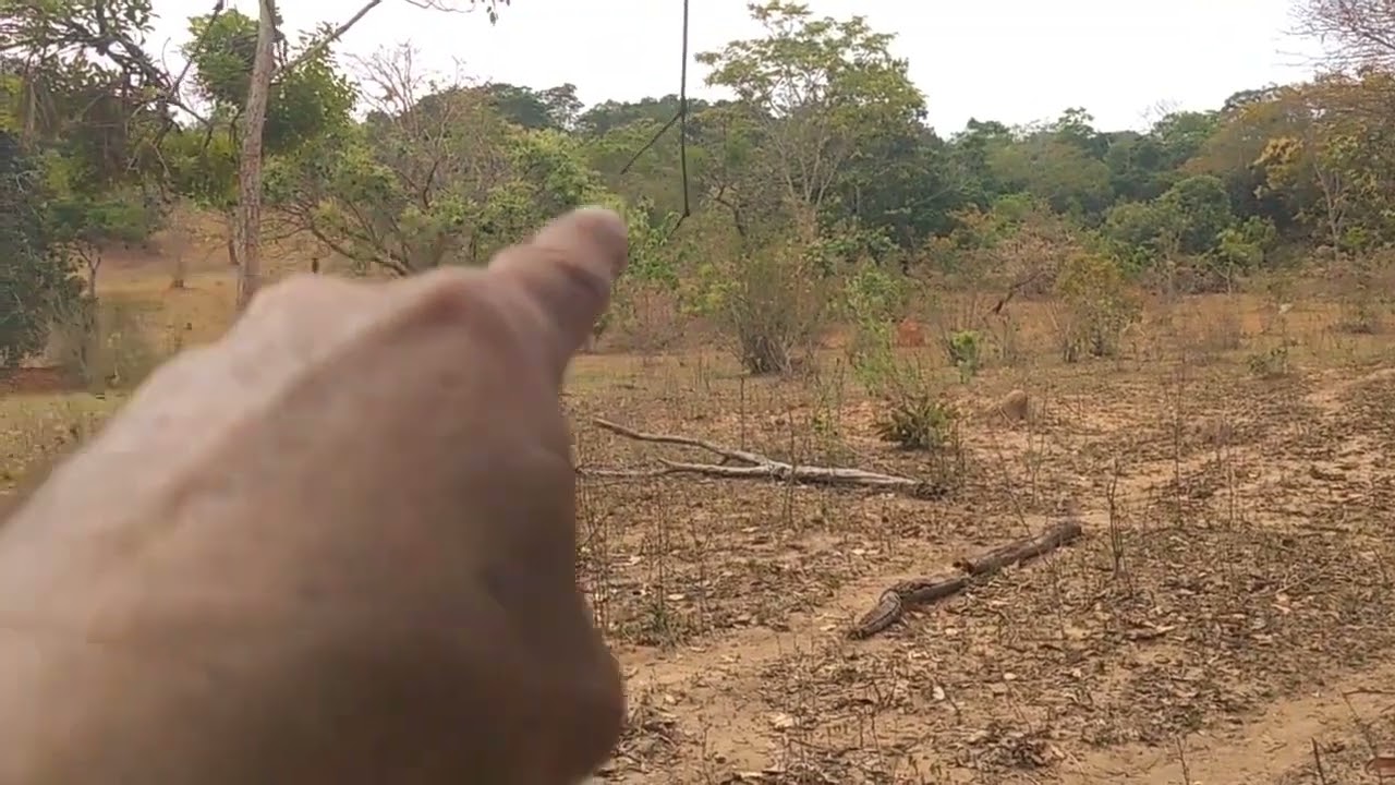 Chácara 1ALQU Valor 190Mil Rio Piracanjuba de Fundos 40 km de Vianópolis sentido ORIZONA 62981414270