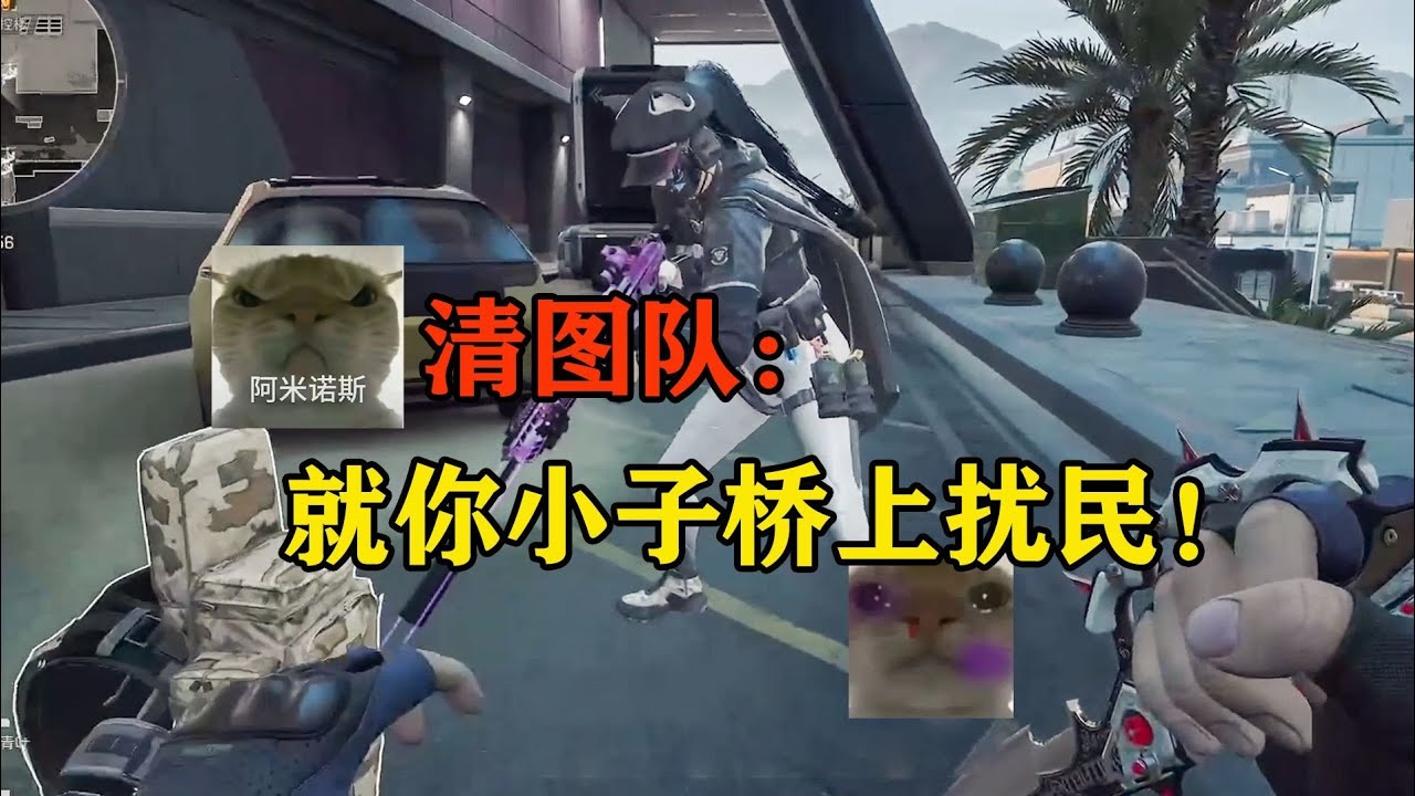 三角洲行动: 再也不玩抽象了😭！哈基蜂堵桥扰民被逮捕 #三角洲行动 #deltaforce