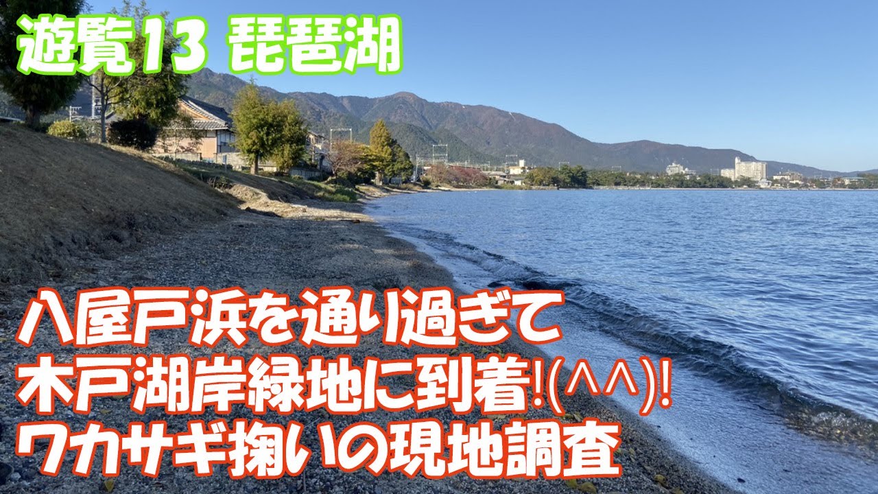 【これぱ！遊覧13】琵琶湖の湖西、大津市の県営都市公園木戸湖岸緑地にワカサギ掬いの現場調査に行ってきた