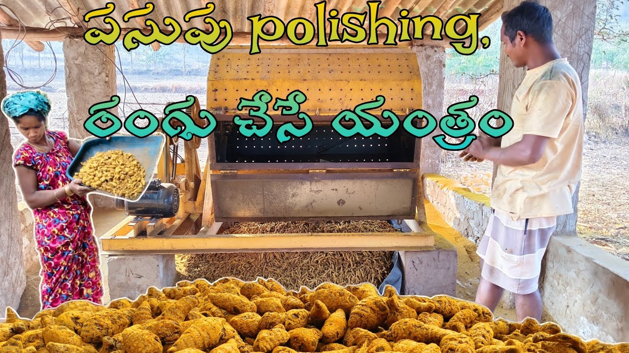 పసుపు రంగు చేసే యంత్రం Turmeric polishing machine 