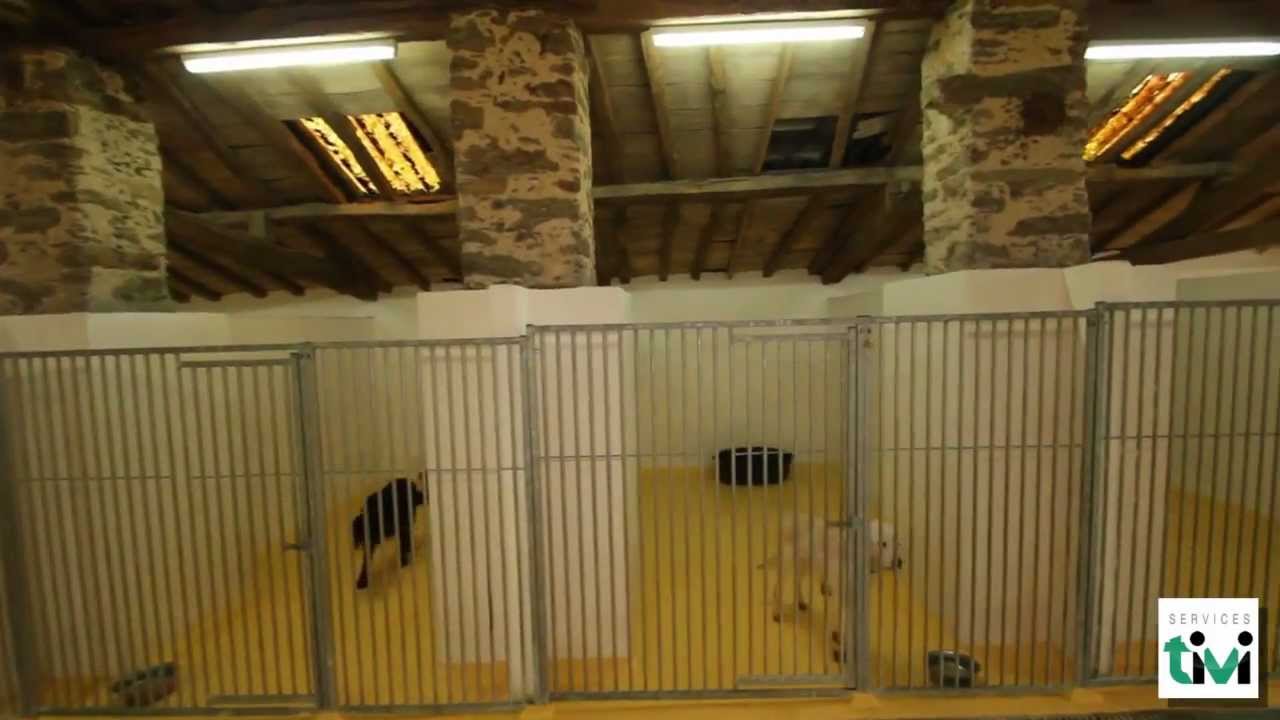 Domaine de l'Oyat des Dunes, La pension canine de Vendée à Challans (85), Vendée