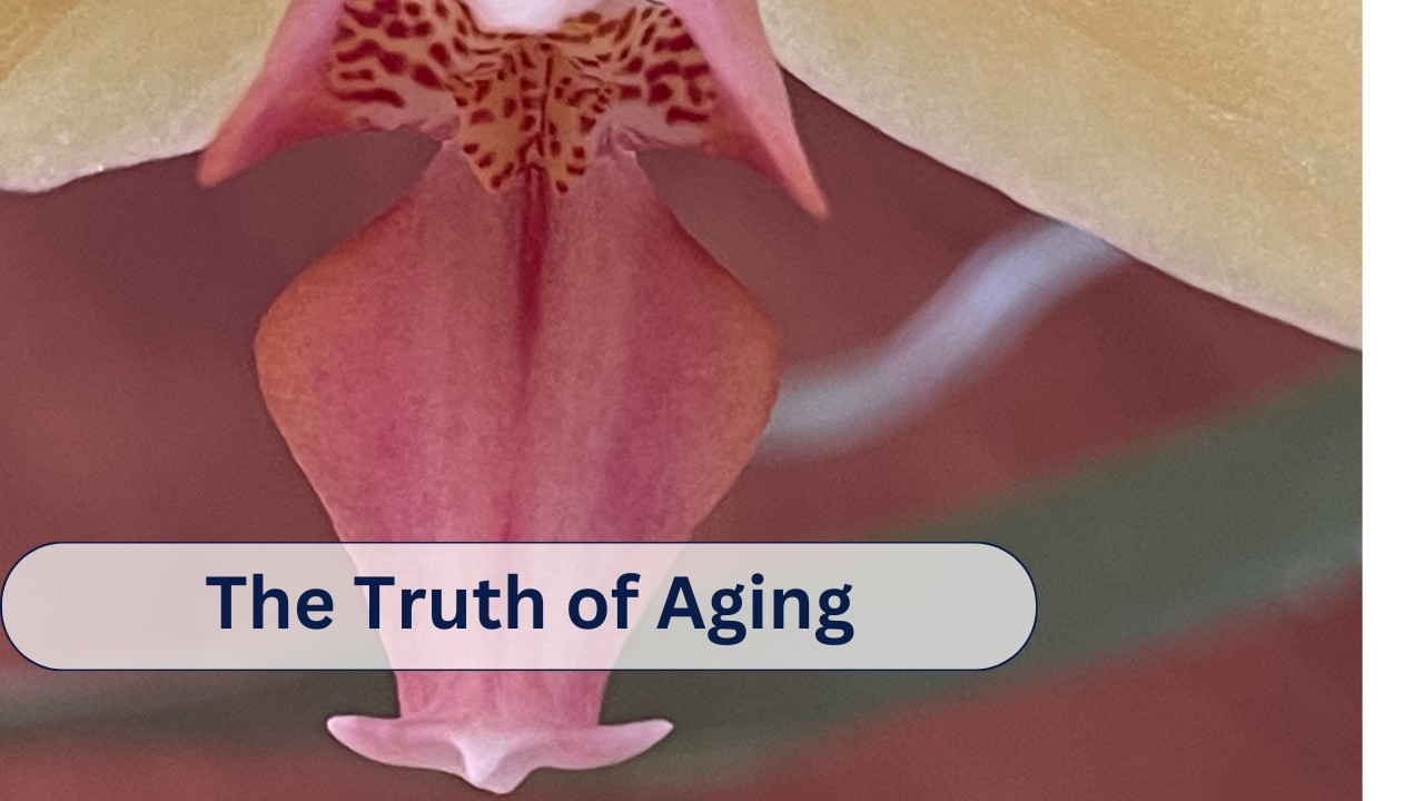 Moment to moment relationship with the truth of aging.