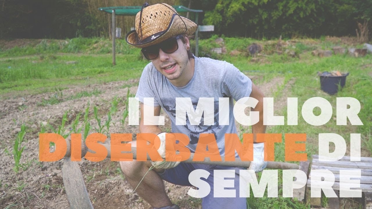 IL MIO TRUCCO PER DISERBARE E TENERE PULITO L'ORTO👨&zwj;🌾