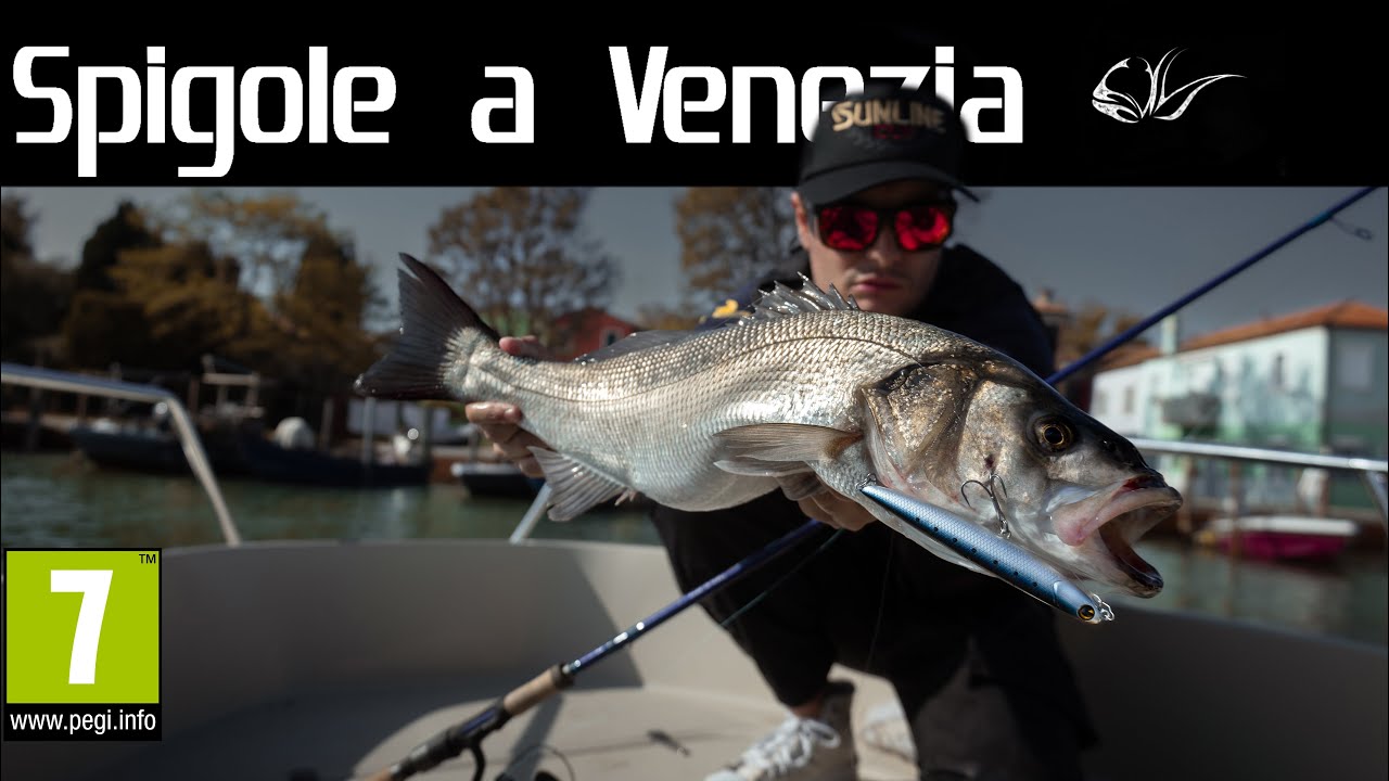 PESCA ALLA SPIGOLA Nella Laguna di VENEZIA ( con Jerk e WTD)