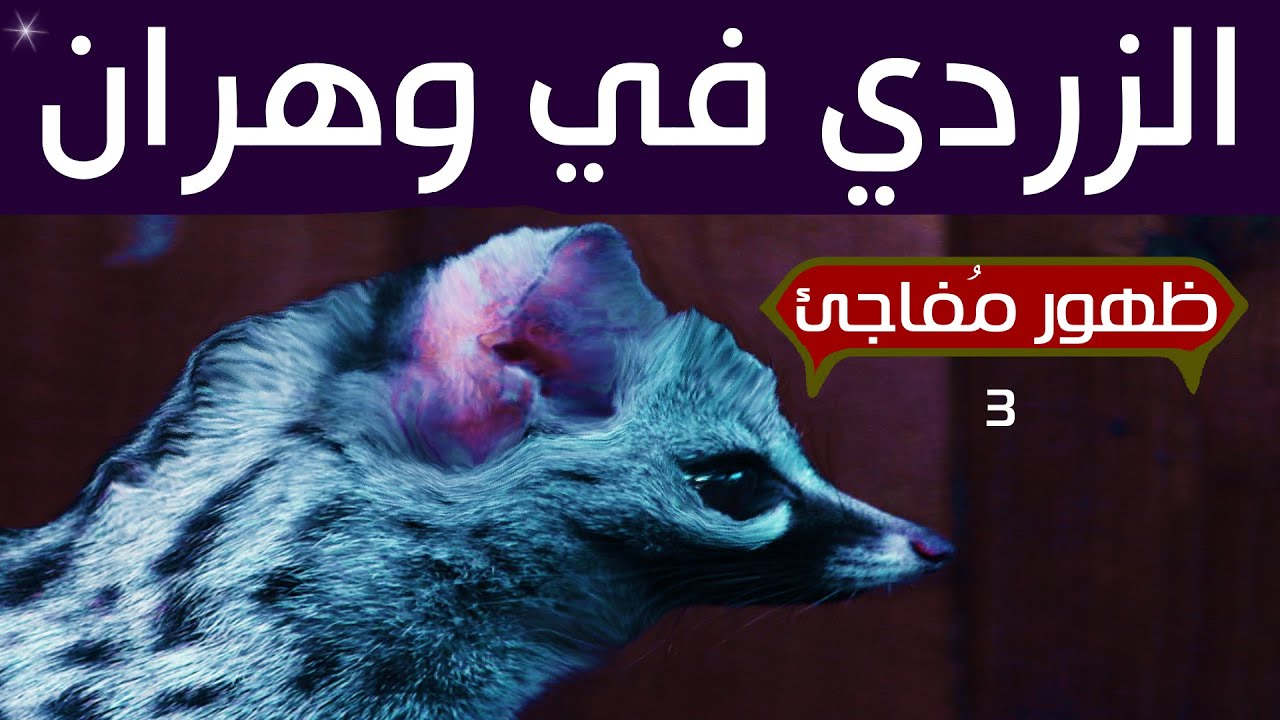 الزردي المهدد بالانقراض.. ظهور مُفاجئ في ولاية وهران الجزائر 2025