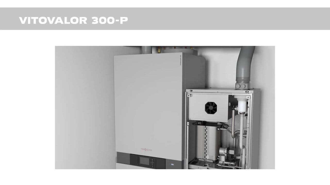 Brennstoffzelle Vitovalor 300 P