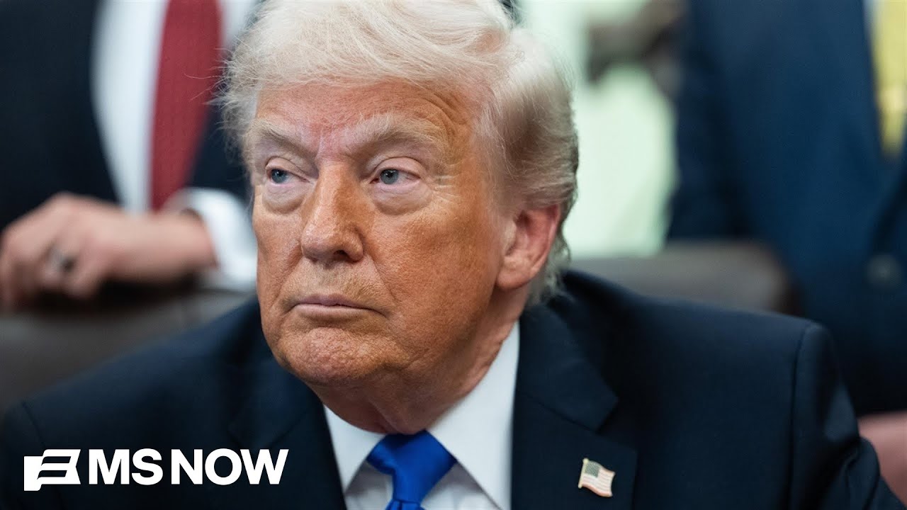 'Real problem for Republicans': Ex-GOP strategist says Trump is 'losing on every issue'