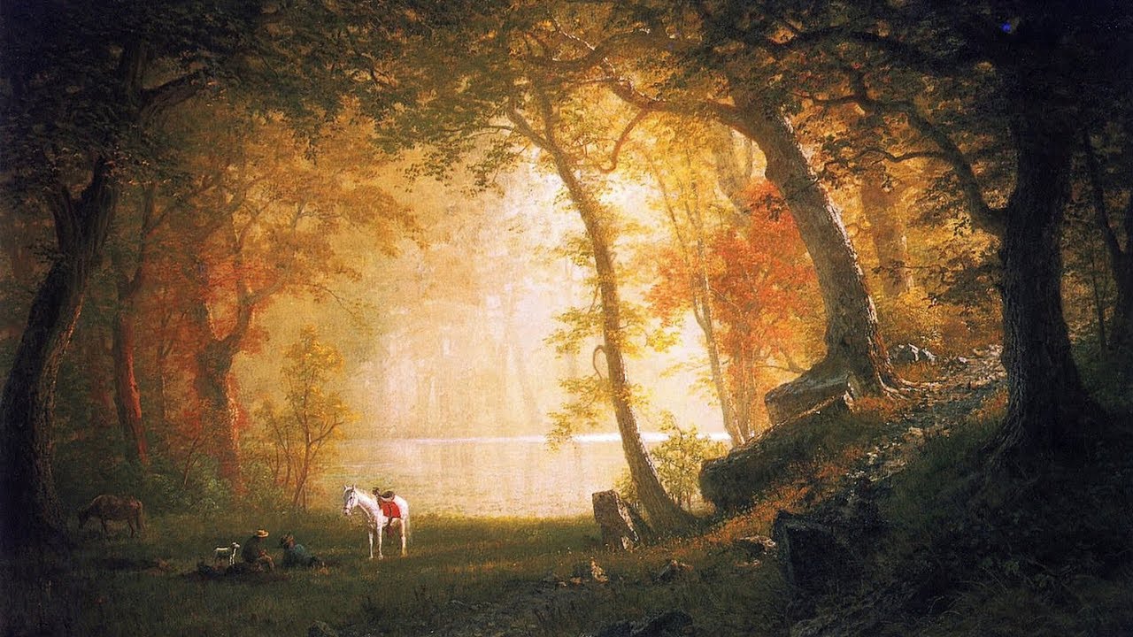 a playlist for quiet fall mornings☕🍂✨