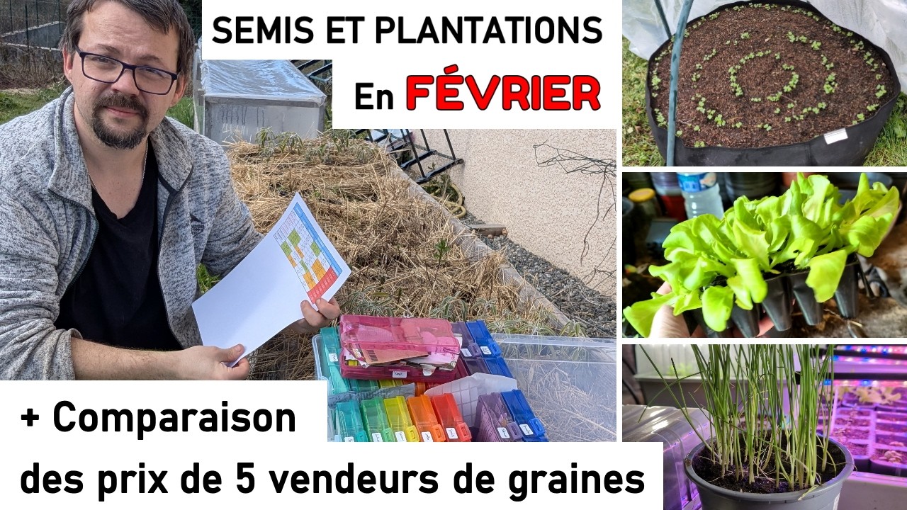 FÉVRIER : Tous les SEMIS et PLANTATIONS + COMPARAISON PRIX de 5 vendeurs de graines