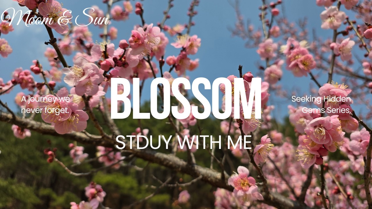 Korean Spring Music | Plum Blossom Garden | Wind & Nature Ambience | Study with Me