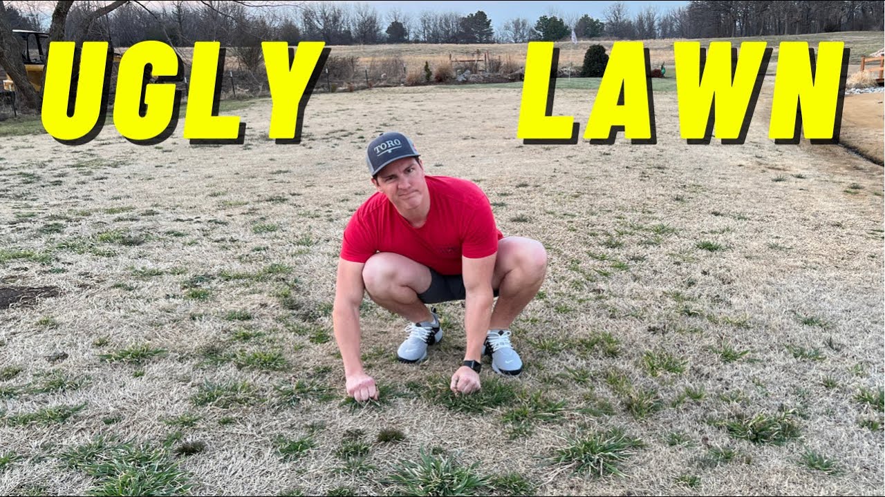 Fix That UGLY Lawn!