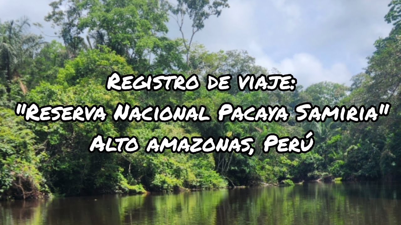 Registro de viaje: Reserva Nacional Pacaya Samiria