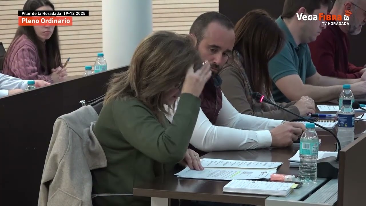 Pleno 19 de diciembre de 2025