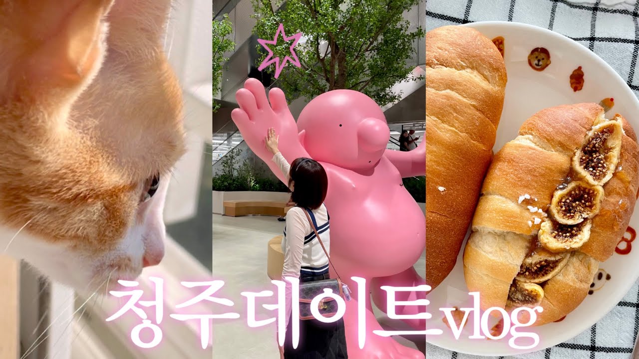 결혼했더니 놀기만 하는 요즘｜집밥·요리수업·청주데이트까지 신혼일상 vlog