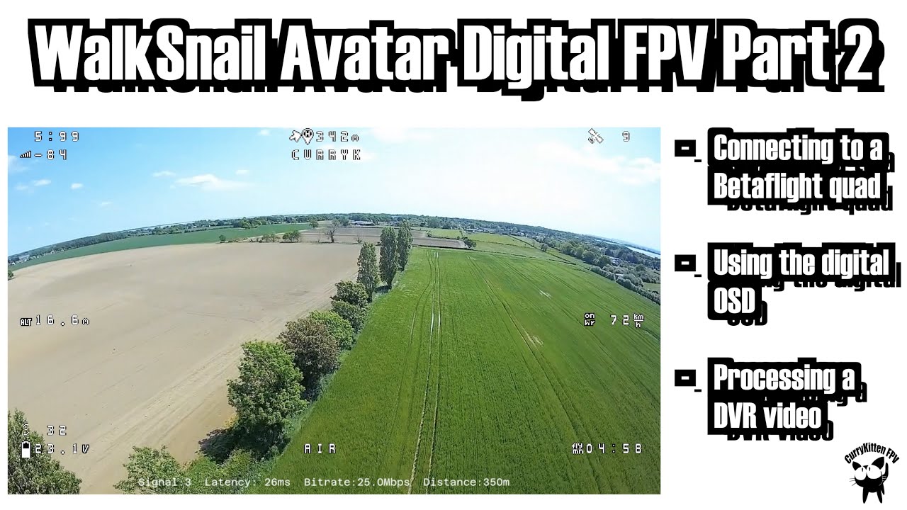 The WalkSnail Avatar digital system.  Setting up on a Betaflight-based quad