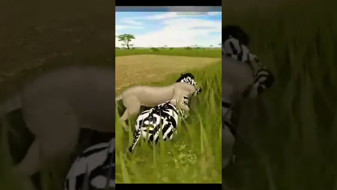 Lioness sucessfully hunt a zebra ROBLOX Wild Savanna