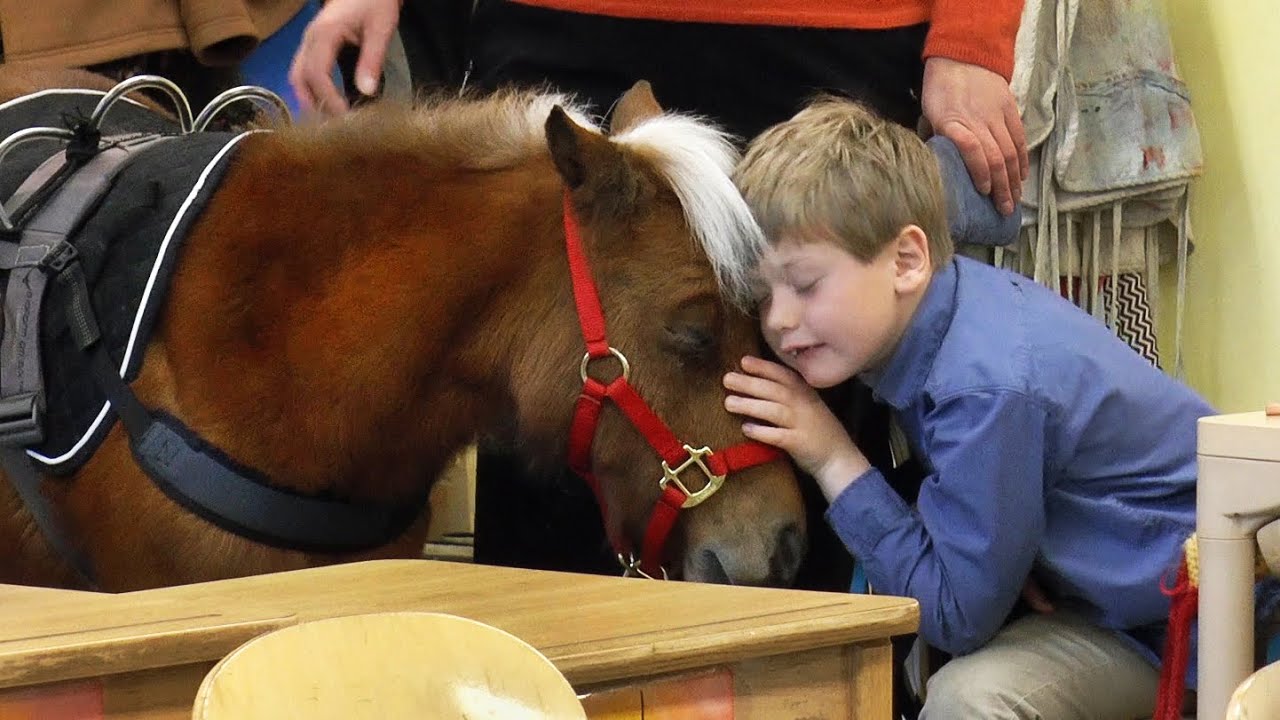 Miniature service horse makes her first visit to Winterberry Charter School