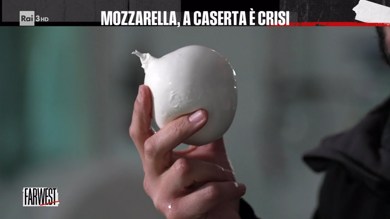 Mozzarella di bufala, a Caserta è crisi - FarWest 29/04/2024
