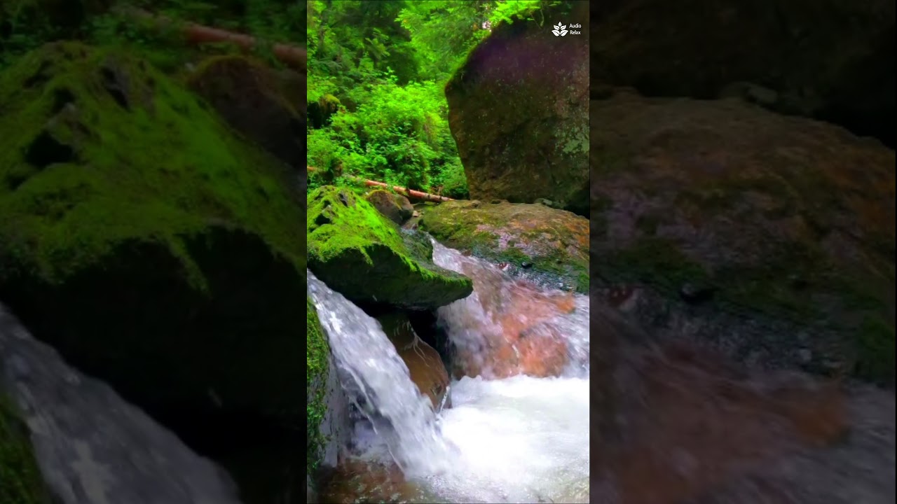 Forest stream.  Full 10 hours video already on YouTube. #audiorelax #foreststream #creek  #stream
