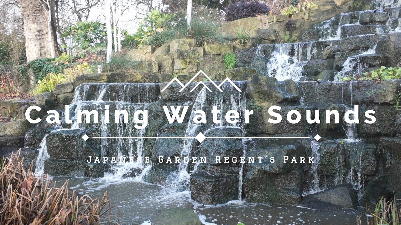 [ASMR] Peaceful Japanese Garden Water & Nature Sounds | Regent’s Park London | Relax, Focus, Sleep