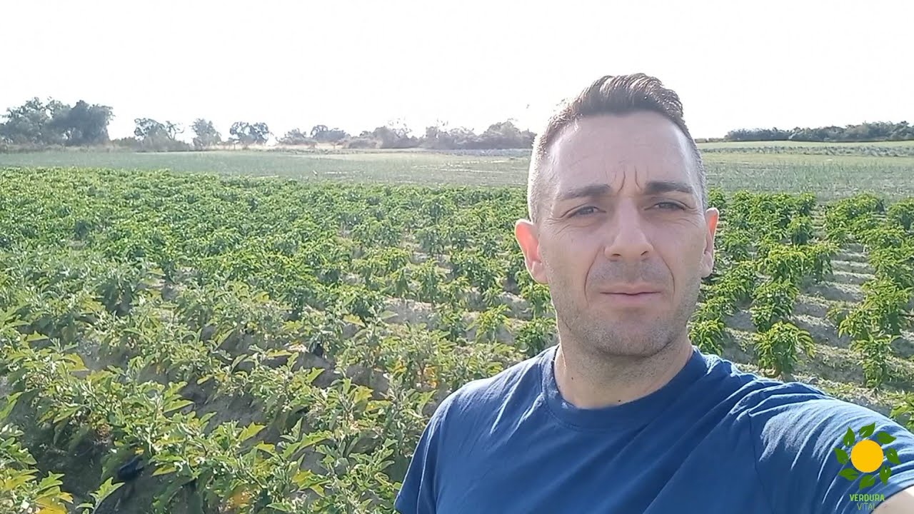PASEO POR NUESTRA HUERTA DE OTOÑO