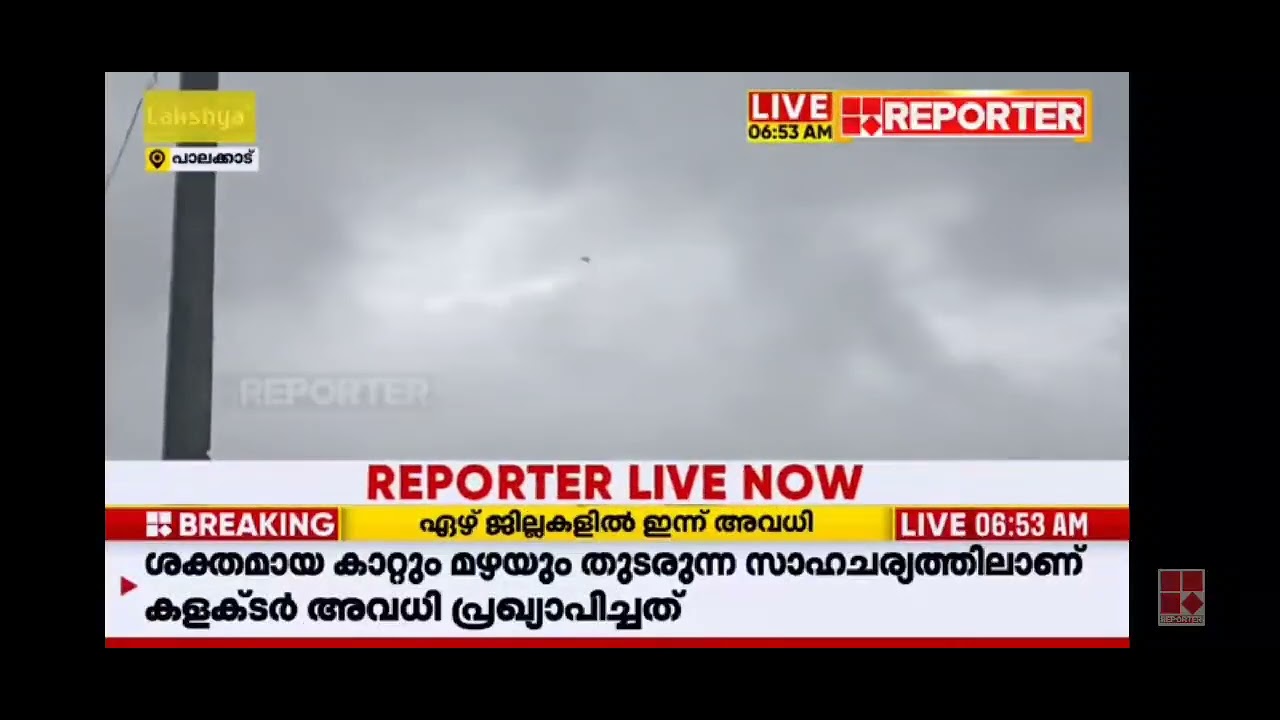 33 hours 28 minutes world record long time flying indian pigeons